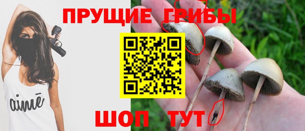 Псилоцибиновые грибы GOLDEN TEACHER Еманжелинск